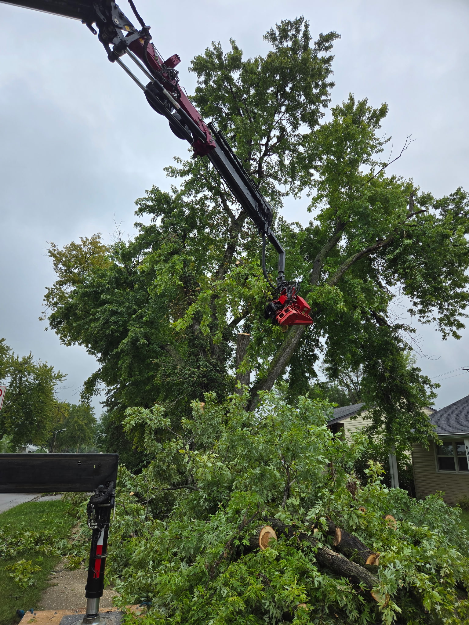Close view of the articulated boom and red grapple at a tree
