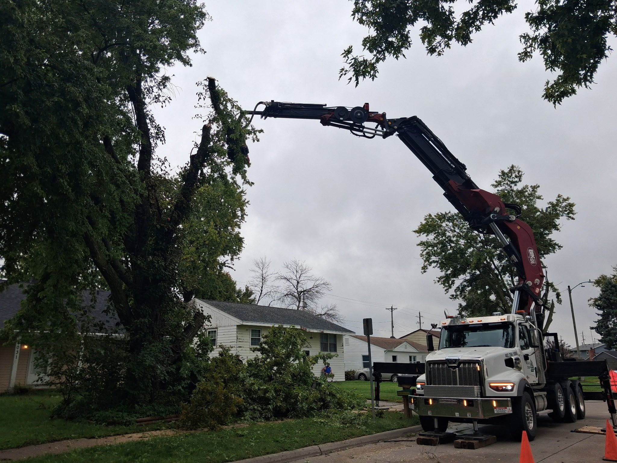 Midgard Western Star truck with its BIK crane deployed beside a tree